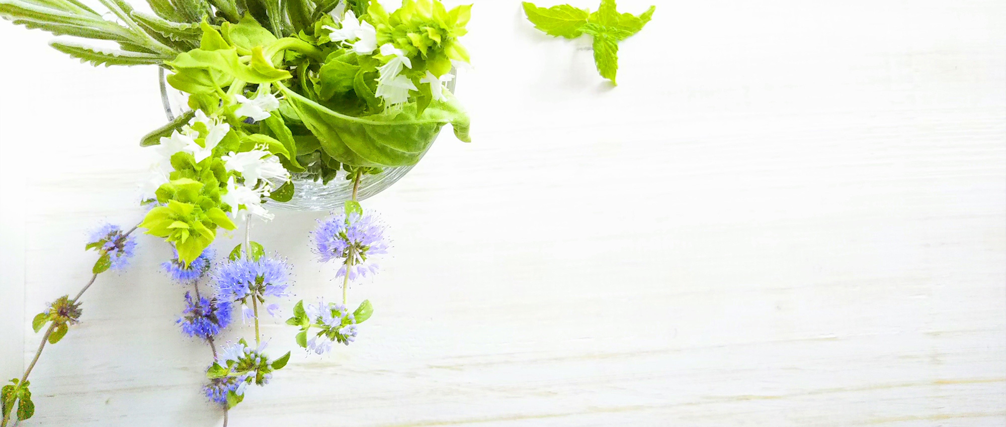 札幌市東区北6条東3丁目、札幌駅、耳鼻咽喉科